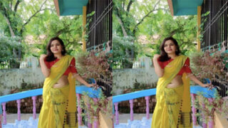 Desi Girl Chick Doggy Style Fucking